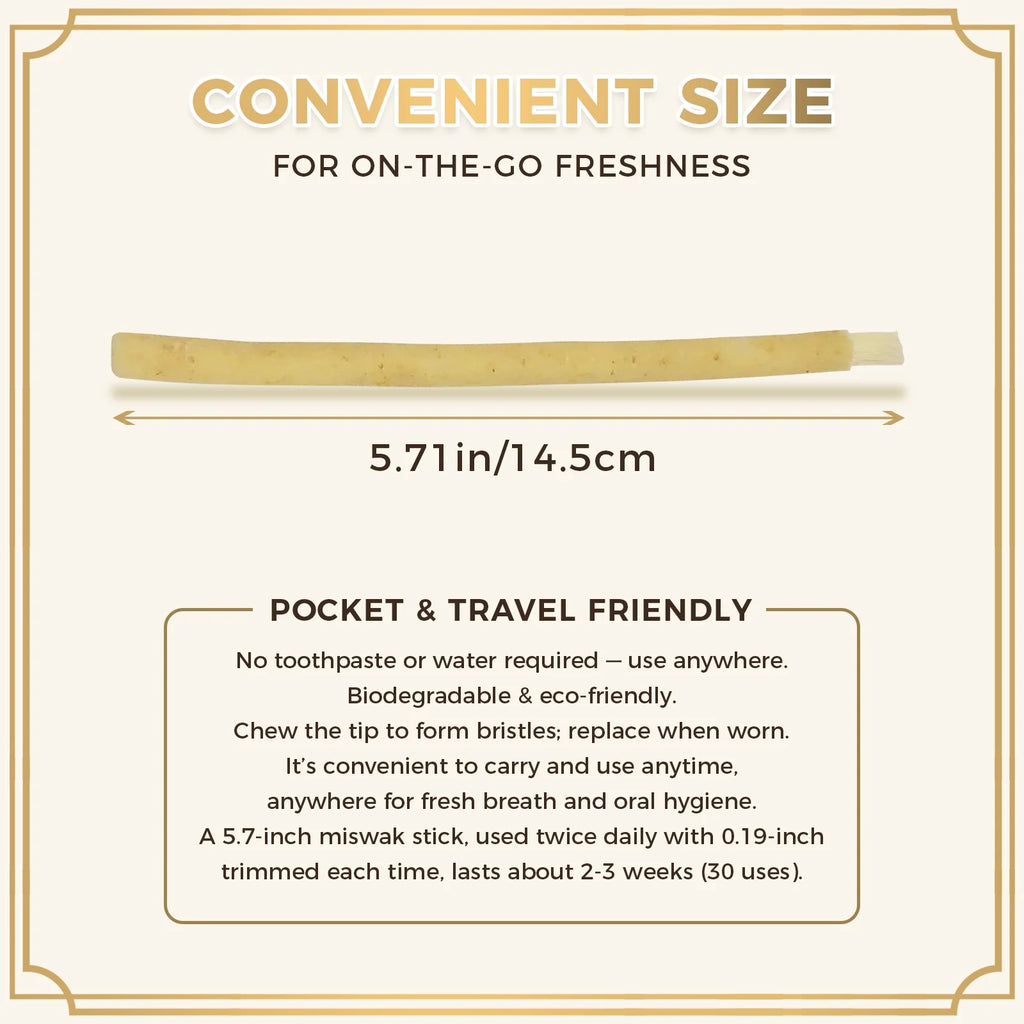 12 Pack Natural Miswak Sticks, Organic Wooden Miswak Toothbrush for Healthy Gums & Fresher Breath, No Toothpaste Required, Original Flavor