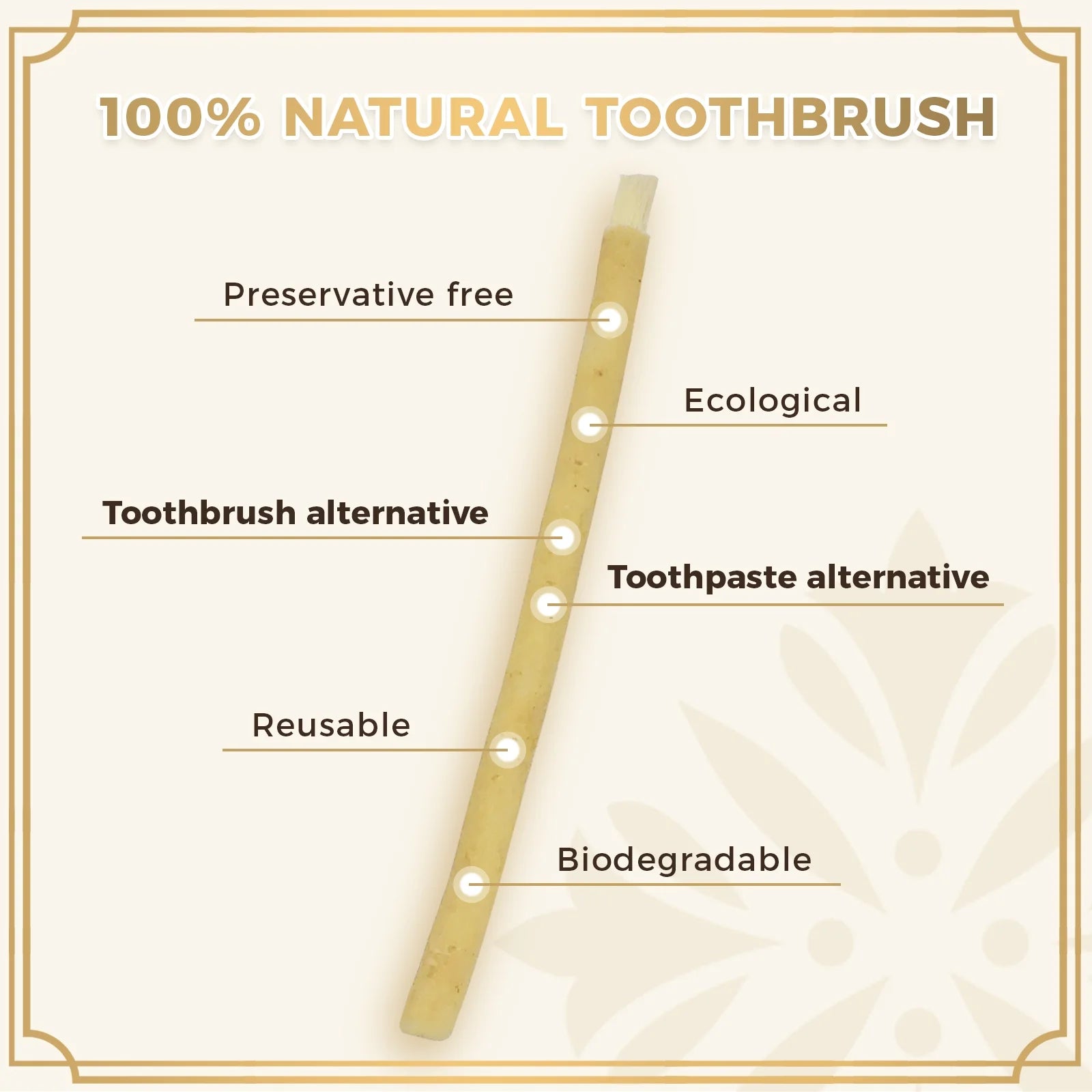 12 Pack Natural Miswak Sticks, Organic Wooden Miswak Toothbrush for Healthy Gums & Fresher Breath, No Toothpaste Required, Original Flavor