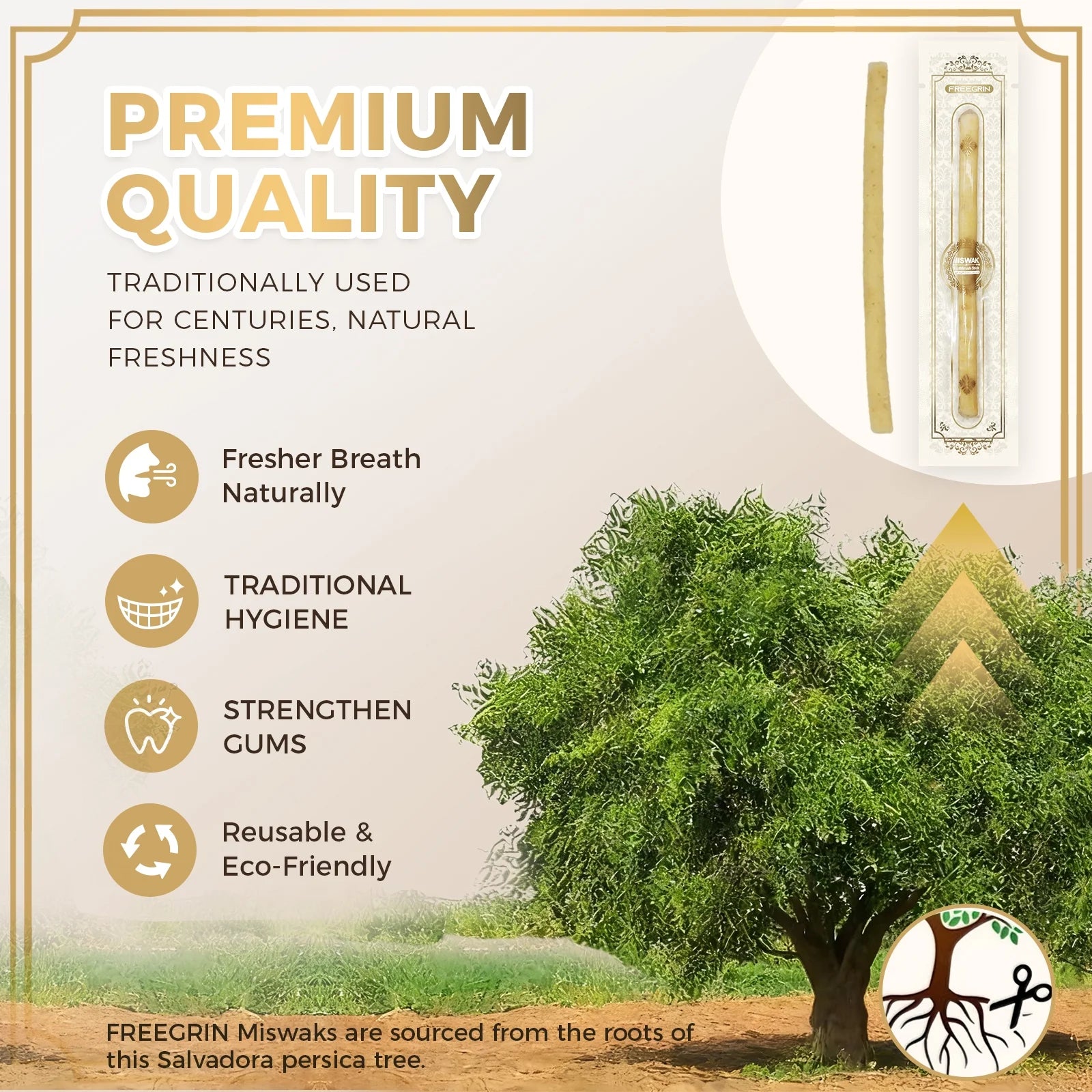 12 Pack Natural Miswak Sticks, Organic Wooden Miswak Toothbrush for Healthy Gums & Fresher Breath, No Toothpaste Required, Original Flavor