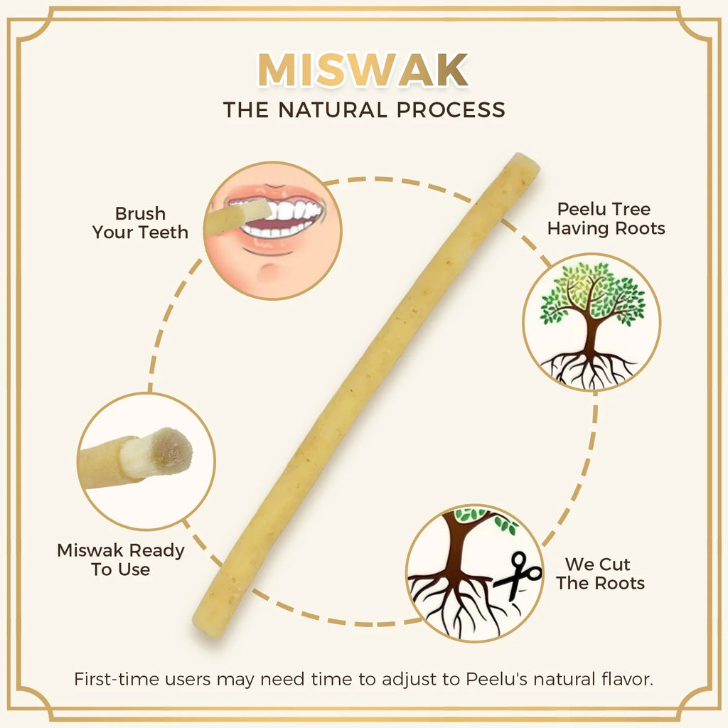 12 Pack Natural Miswak Sticks, Organic Wooden Miswak Toothbrush for Healthy Gums & Fresher Breath, No Toothpaste Required, Original Flavor